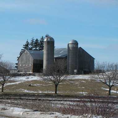 Photo: A Mennonite farm.